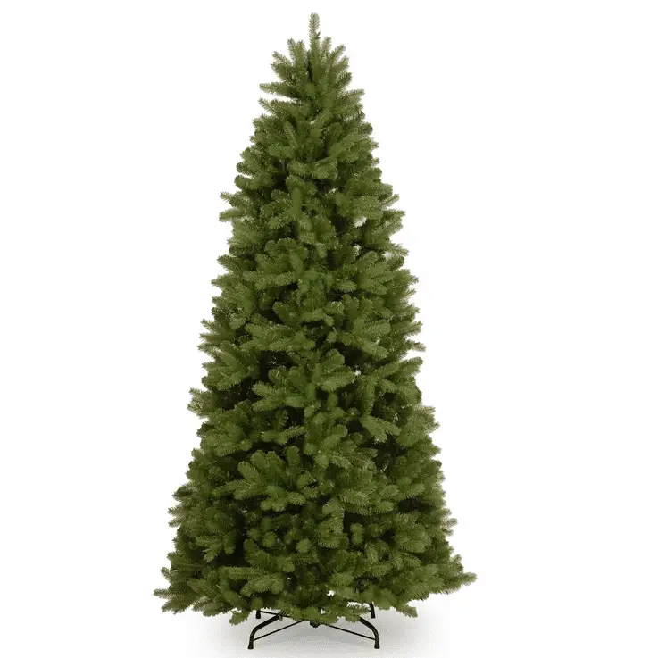 Newberry Spruce Slim - Christmas Trees For Sale Dublin