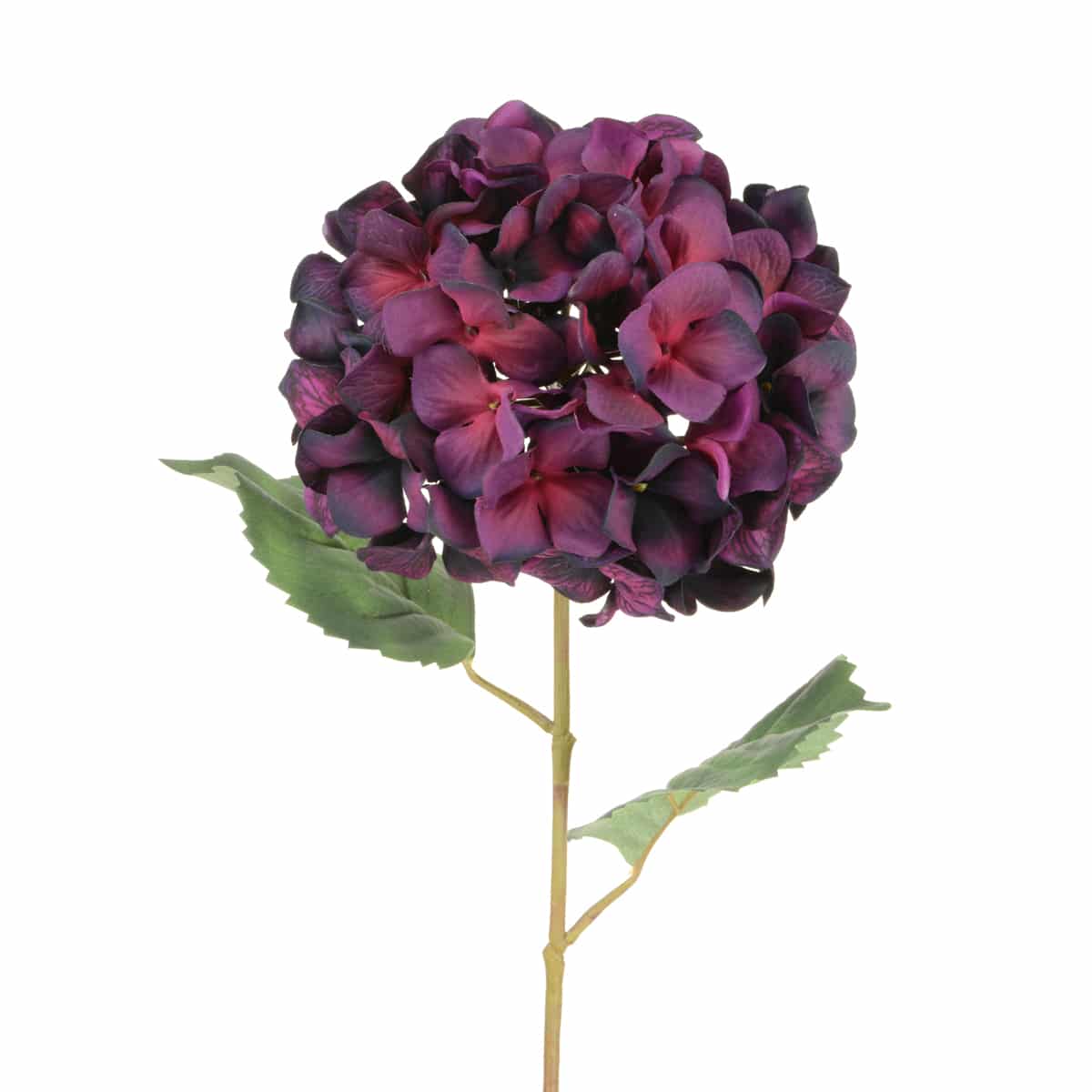 68cm Aubergine luxury Stem