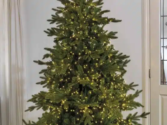 Compact Warm White Xmas Lights WIth Transparent Cable - Christmas Lights For Sale Dublin