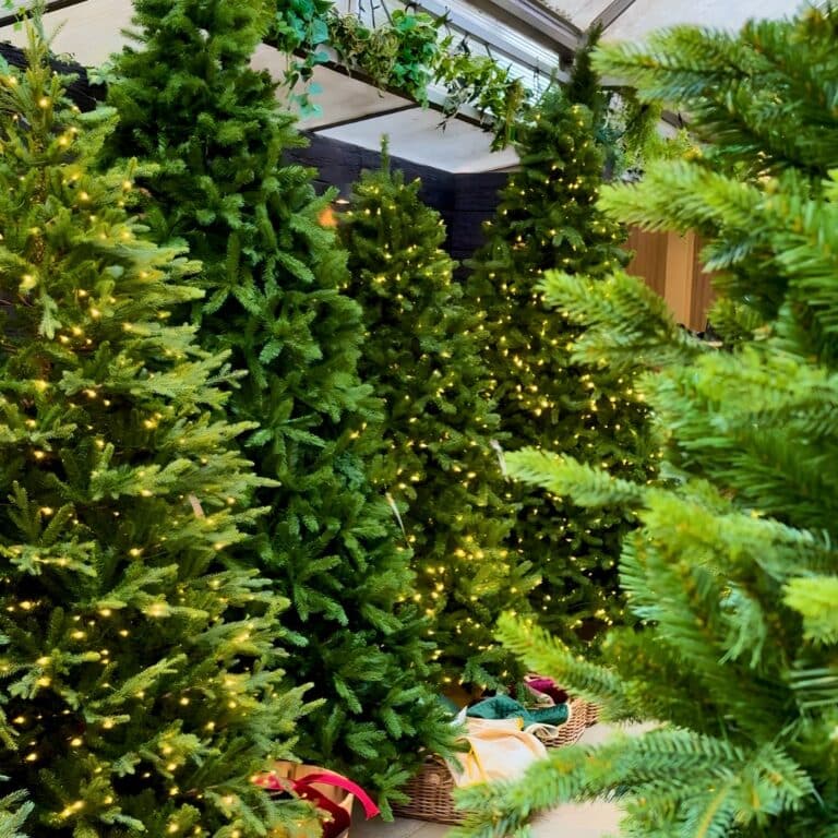 Guide to Choosing the Perfect Christmas Tree for Your Home ...