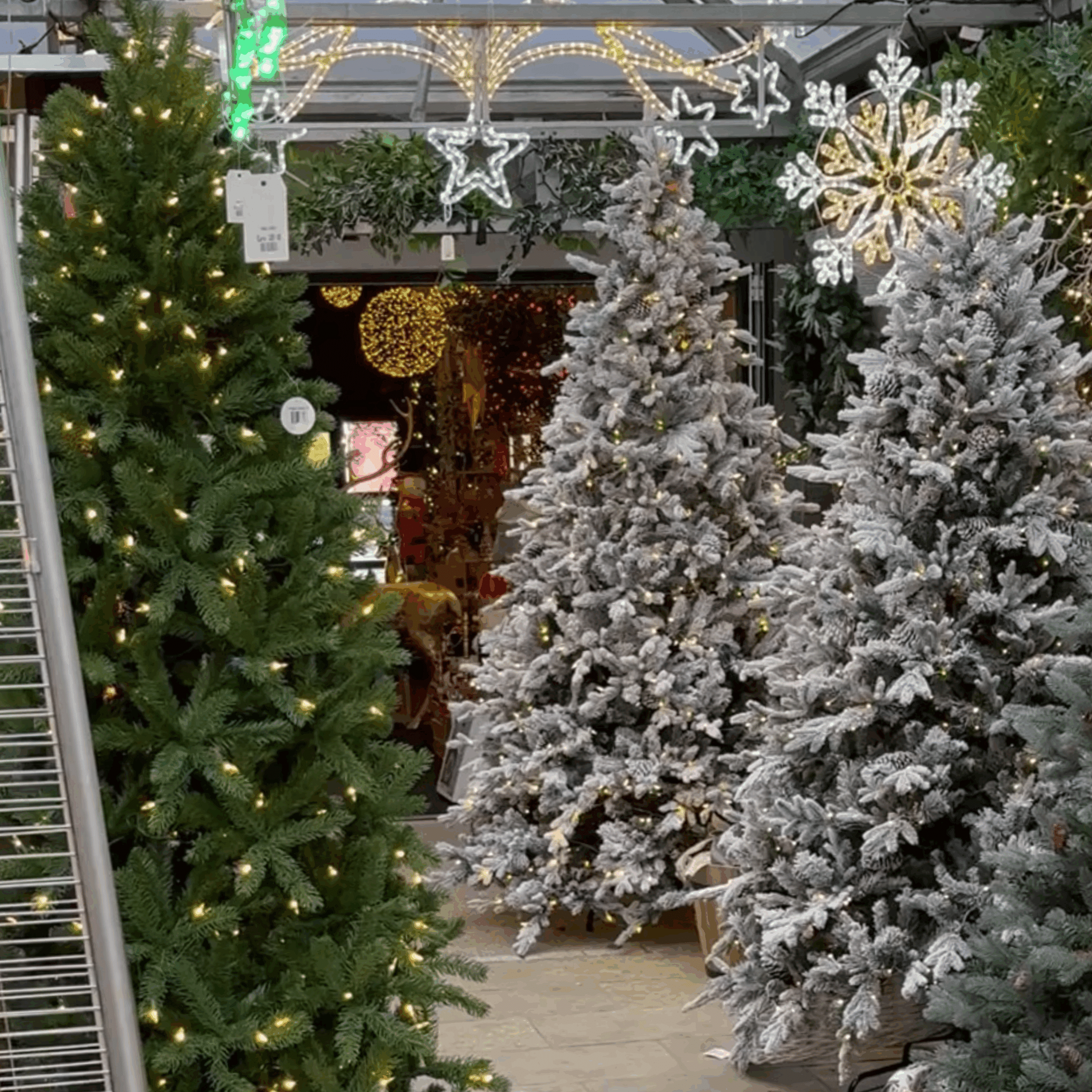 Christmas Tree for sale from Christmas Tree. Most versatile range of sustainable and long lasting tree. Shop today