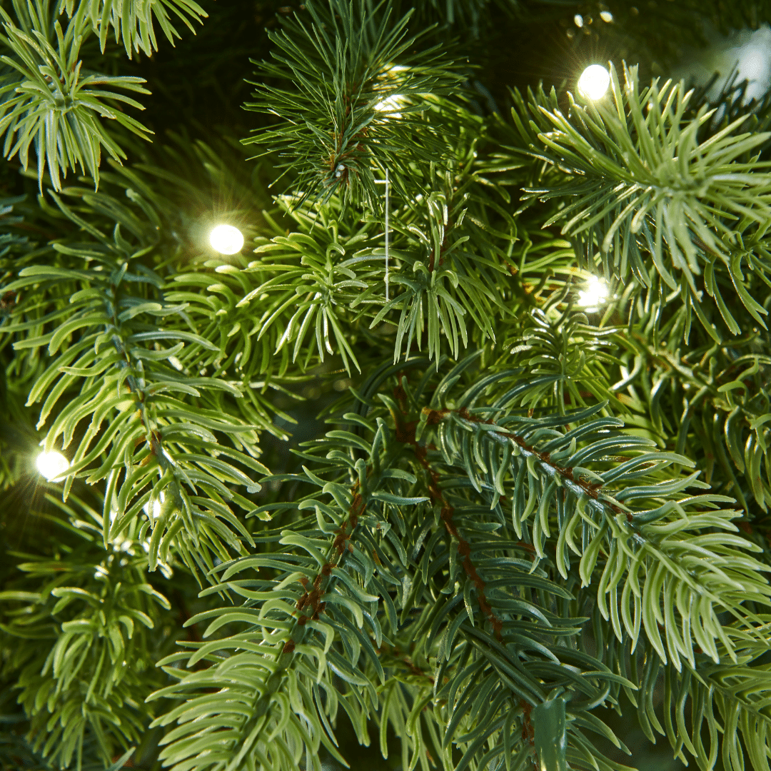 Alpach Fir Artificial Christmas Tree tips